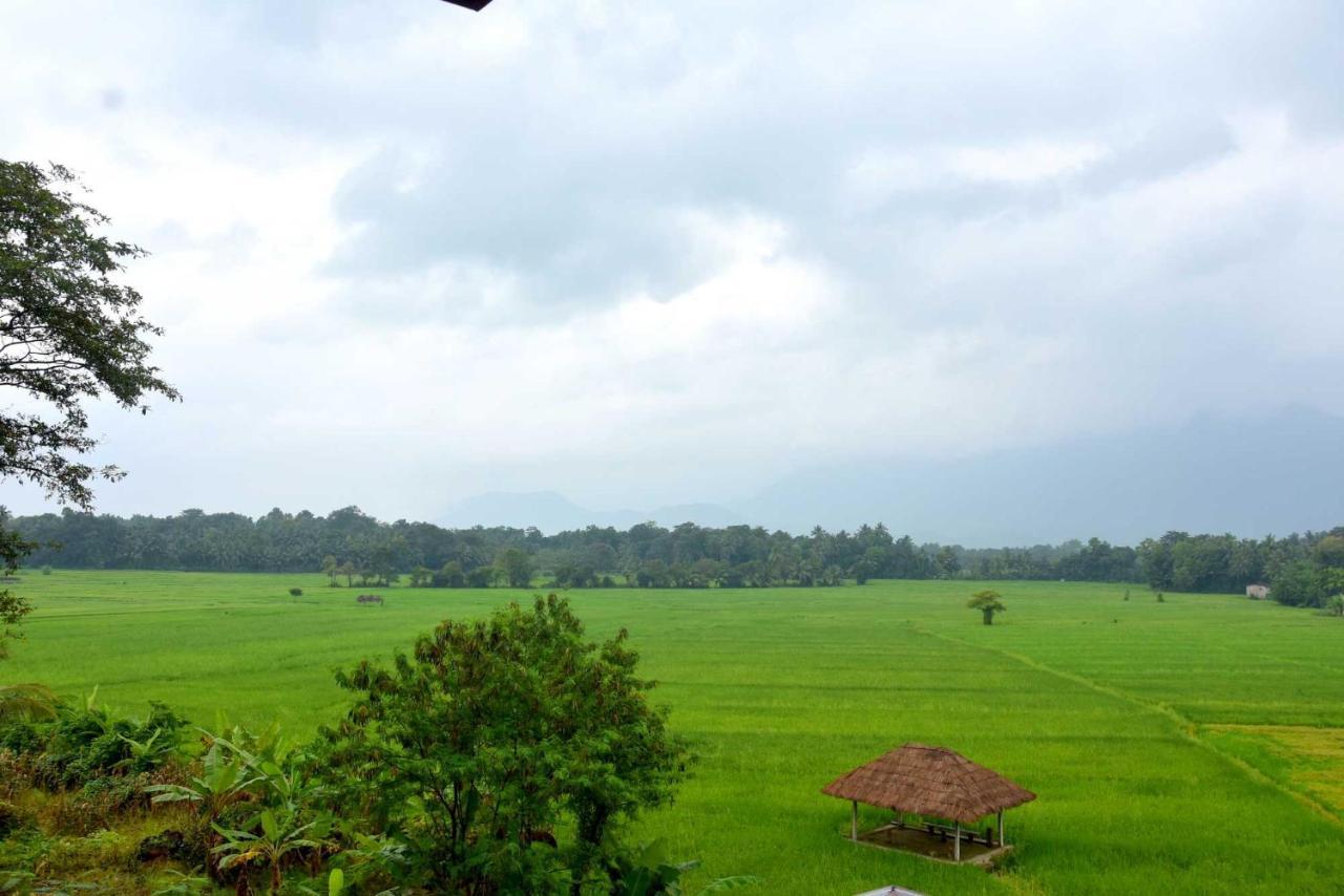 Green Heritage Holiday Resort Mahiyanganaya Exterior foto